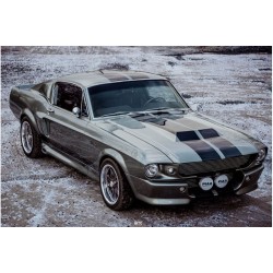 Mustang Fastback S-code...