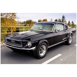 Mustang Fastback 1967 or 1968