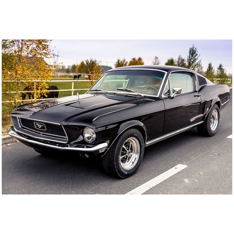 Mustang Fastback z roku 1967 lub 1968