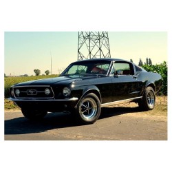Mustang Fastback S-code 390 z roku 1967 Ford